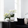 Witte orchidee en succulenten op rieten schaal